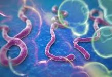 Ebola Virus