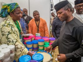 Niger State Investment Summit