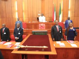 Senate resumes plenary