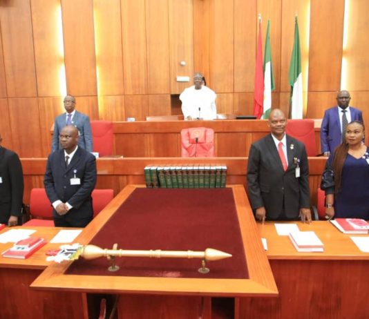 Senate resumes plenary