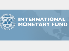 IMF logo