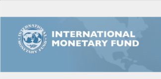 IMF logo