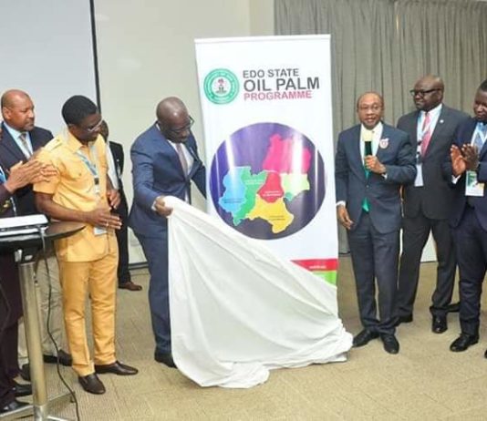 CBN GOV , MR GODWIN EMEFIELE AND EDO STATE GOV, MR GODWIN OBASEKI