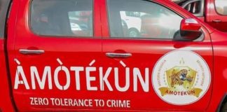 Amotekun