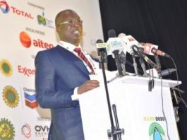 Minister of State Petroleum