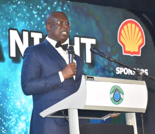 Minister of State Petroleum