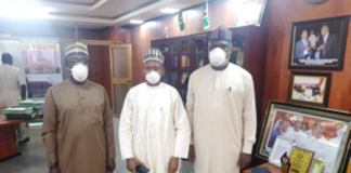 Accountant-General of the Federation