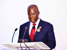 Chief Timipre Marlin Sylva