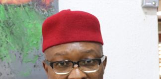 Engr Nebeolisa Anako