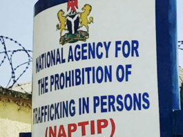 NAPTIP