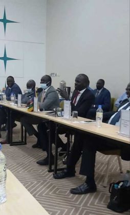 HMoSPR in South Sudan as OPEC Special Envoy