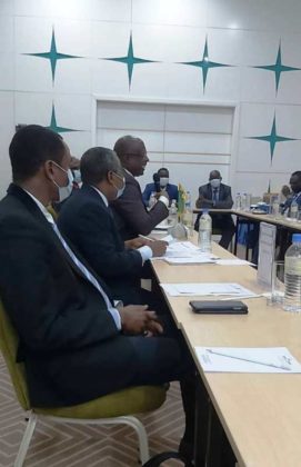 HMoSPR in South Sudan as OPEC Special Envoy