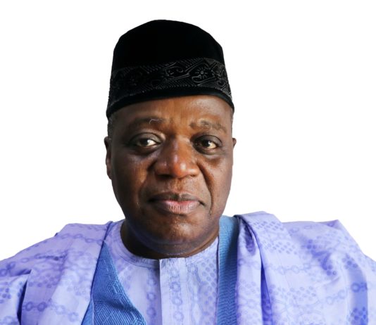 Mr. Balarabe Shehu Ilelah
