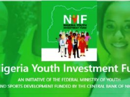 Nigeria Youth Investment Fund1