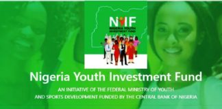 Nigeria Youth Investment Fund1