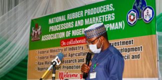 Science, Technology and Innovation