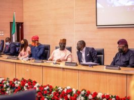 FG to harness Critical and Strategic Partnership to navigate the economy towards recovery and resilience, says Agba