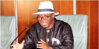President Buhari renews Dikio's Appointment as Interim Administrator of Amnesty Programme