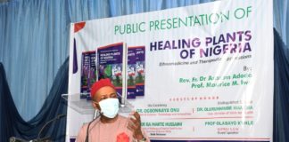 Onu calls for more studies on Indigenous Herbal Plants