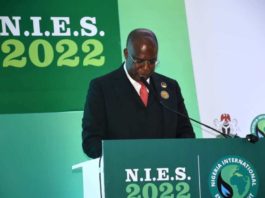 The Minister of State, Petroleum Resources, Chief Timipre Sylva