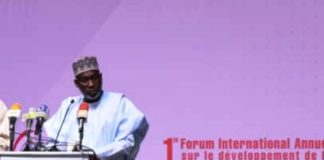 Chad Basin: It's time to reinvigorate and strengthen Regional Cooperation – Engr. ADAMU