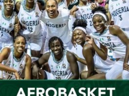FG Appoints Interim Management Committee(IMC) to Oversee Nigeria Basketball