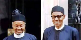 MAMMAN DAURA