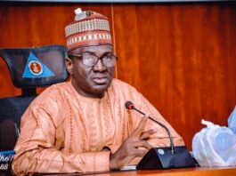 PRESIDENT BUHARI APPOINTS HUMANITARIAN DIRECTOR GREMA INTO NEDC GOVERNING BOARD