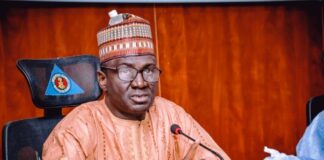 PRESIDENT BUHARI APPOINTS HUMANITARIAN DIRECTOR GREMA INTO NEDC GOVERNING BOARD