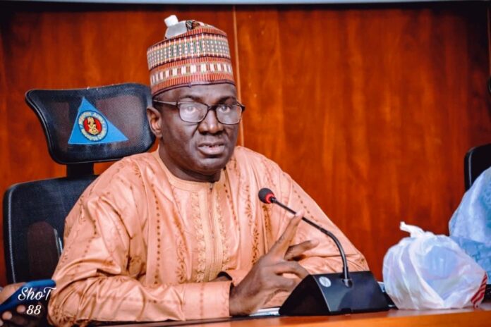 PRESIDENT BUHARI APPOINTS HUMANITARIAN DIRECTOR GREMA INTO NEDC GOVERNING BOARD