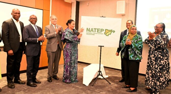 L-R Mr. Charles Okochu, Senior Business Development Manager (AWS) Dr.Armstrong Takang, CEO Ministry of Finance Incorporated, Mr. John G. Coumantaros, Chairman US-Nigeria Business Council, Dr. Doris Uzoka-Anite, Minister of Industry, Trade & Investment, Dr. Femi Adeluyi, National Coordinator, National Talent Export Programme, Amal Hassan,CEO Outsource Global and Adaora Ikenze, Meta Head of Public Policy for West and Central Africa at the launch of NATEP in New York on the sideline of UNGA 78th.