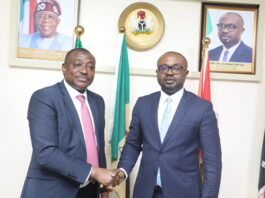 NIRSAL COURTESY CALL TO INTERIOR MINISTER