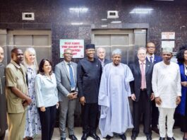 Bagudu advocates improved support for health sector financing