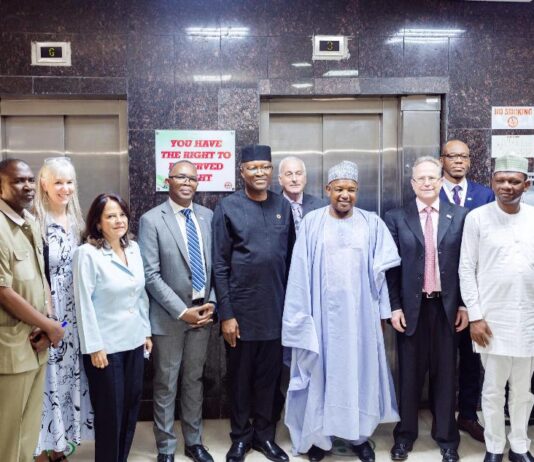 Bagudu advocates improved support for health sector financing