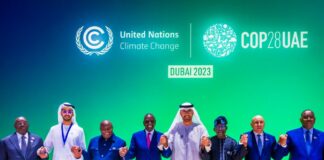President Tinubu: Risk Management vital for Africa’s Full Transition to Clean Energy
