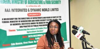 The Representative of the Permanent Secretary, Director, Human Resources Management, Mrs Oluwatoyin Alade, during the Workshop in Abuja.