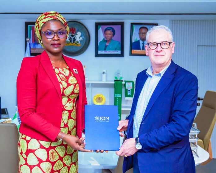 FG to Synergise with IOM on Irregular Migration of Youths