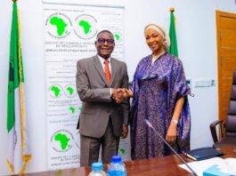 Lamin G. Barrow, Director General of Nigeria Country Department of the African Development Bank (afdb) with Hon Minister of Art, Culture and the Creative Economy Barrister Hannatu Musa Musawa