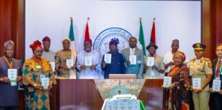 FG Rolls Out Expatriate Employment Levy Guidelines