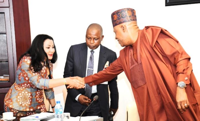 FG Finally Hands Over Zungeru Hydroelectric Power Plant To Concessionaire