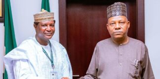We Must Do More To Secure Our Border Communities Against Incursions- VP Shettima