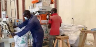 bagging of grains in Yola Silo Complex