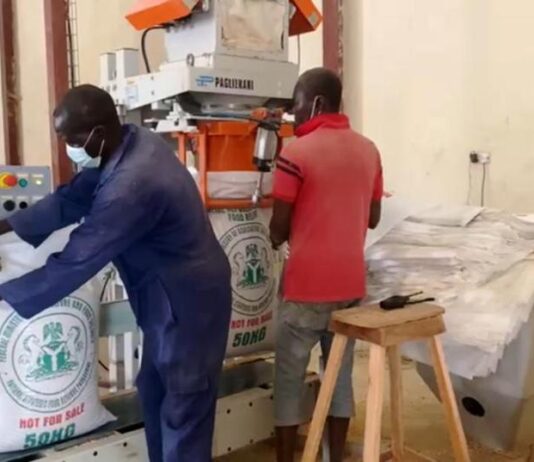 bagging of grains in Yola Silo Complex