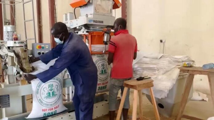 bagging of grains in Yola Silo Complex