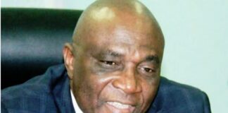 Bayo Onanuga Special Adviser to the President on Information & Strategy