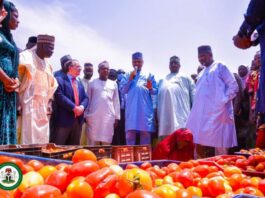 In Kebbi, Minister Idris Commends GB Foods’ Long-Term Commitment to Nigeria; Assures of Federal Government’s Continuing Support