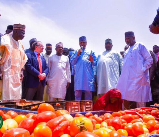 In Kebbi, Minister Idris Commends GB Foods’ Long-Term Commitment to Nigeria; Assures of Federal Government’s Continuing Support