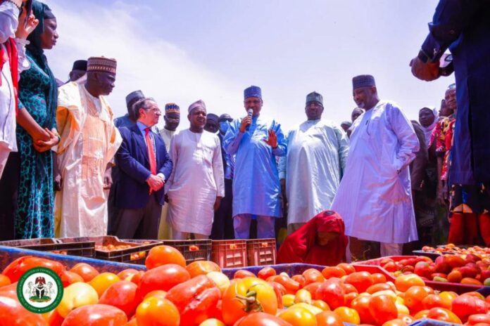 In Kebbi, Minister Idris Commends GB Foods’ Long-Term Commitment to Nigeria; Assures of Federal Government’s Continuing Support