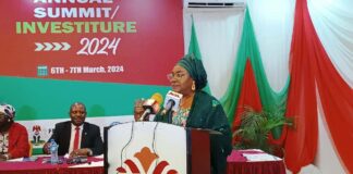 Veterinarians Vital for Food Security in Nigeria- Dr. Ndayako