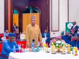VP Shettima: Posterity will remember President Tinubu as a Decisive Leader